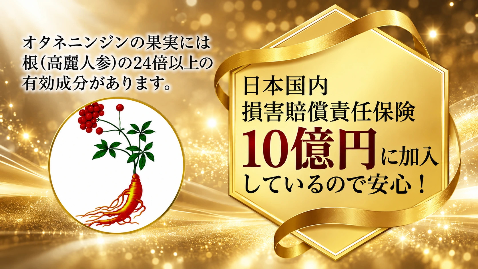 オタネニンジンの果実には根（高麗人参）の24倍以上の有効成分があります。日本国内の損害賠償責任保険10億円に加入しているので安心！